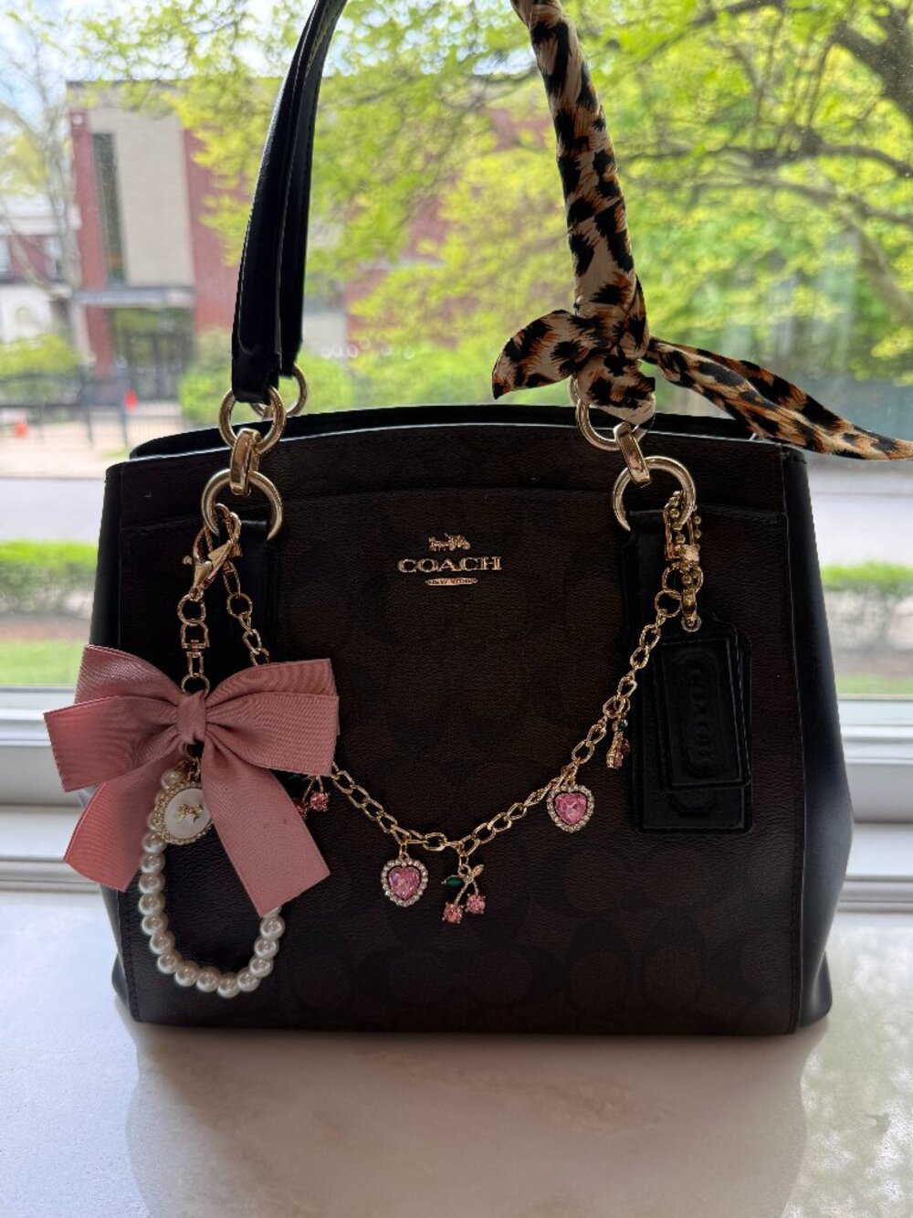 coach bag